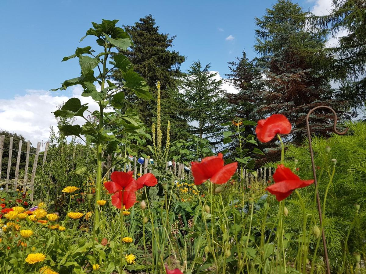 B&B Bauernhofferien Auf Mon Askeby Экстерьер фото
