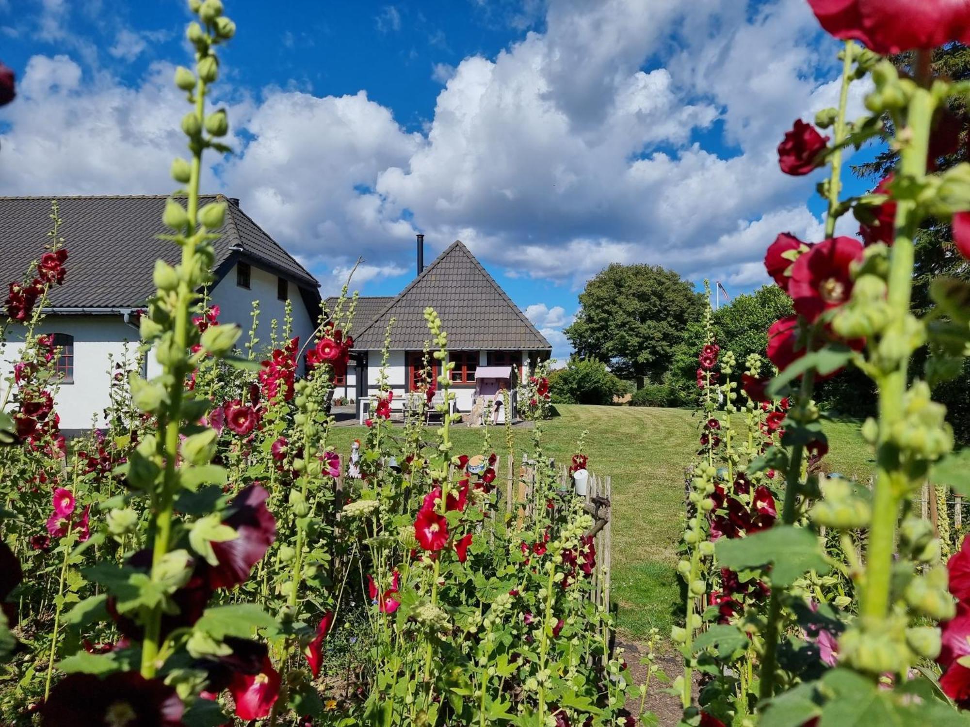 B&B Bauernhofferien Auf Mon Askeby Экстерьер фото
